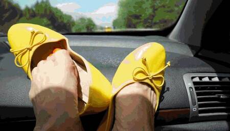 Entertainment on the road AVI (1920x1080) FHD