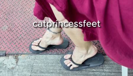 Stare at my sexy feet! Public walking in flip flops, French tip toes, size 9 milf feet