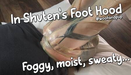 In Shuten's Foot Hood