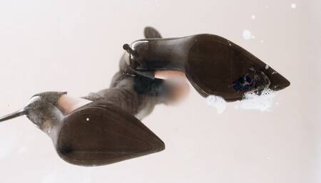 Giantess Wife Spits on & Crushes Tiny Husband with her High Heels