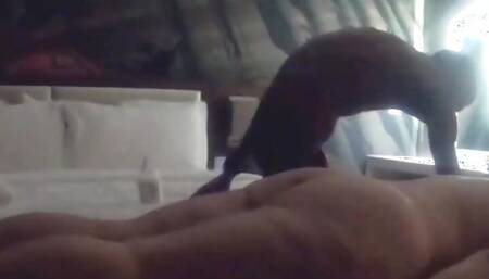 Buying a Massage Table Comes in Handy When Giving a Big Booty Cougar a Booty & Body Rub!