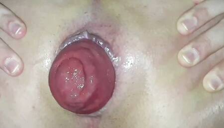 ANAL COMPILATION VOL.1