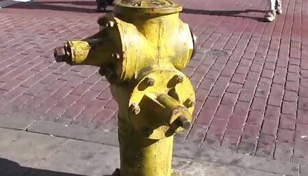 Bella Vendetta and Bettie Bondage are horny lesbians with