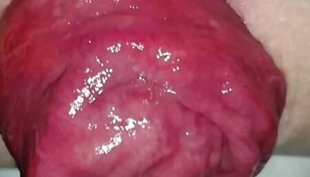 ANAL COMPILATION VOL. 2