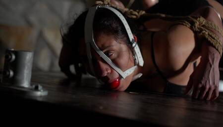 Abril Luna Bondage · 1080