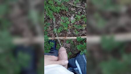 Boy pisses next to the train tracks