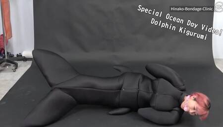 イルカ着ぐるみ????Dolphin Kigurumi ????