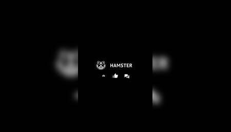 Quick Anal Backshots Clip