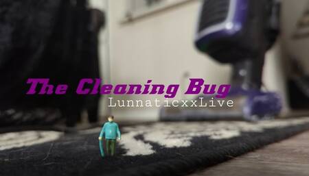 The Cleaning Bug