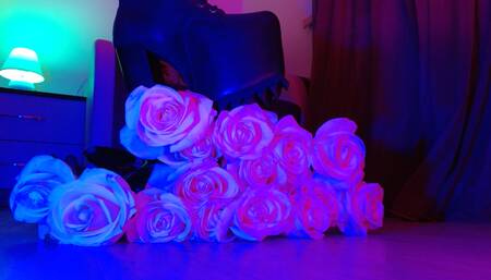 CRUSH WHITE ROSES WITH UGE BOOTS