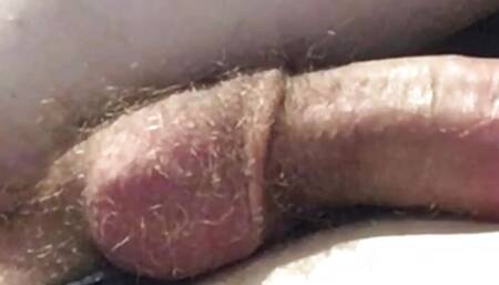 Big white cock with Ass deflowered Cum Shot #Fingering #HairyAss