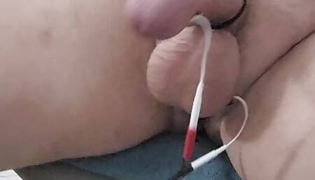 E-Stim & Butt Plug with cum