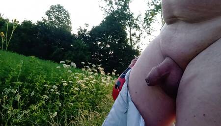 naked walk 1