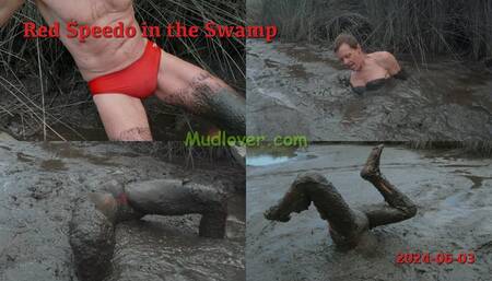 Red Speedo in the Swamp, 2024-06-03