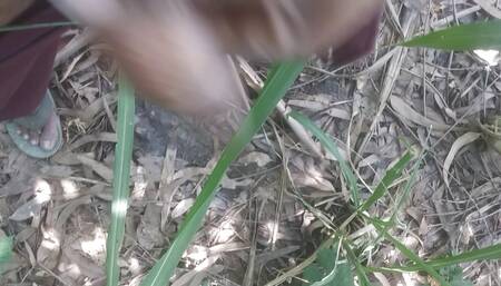 Bachelor boy tree in forest sex video