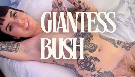 Giantess Bush Scarlett Cummings Eats You After Playing With You in Her Bush Naked Giantess Goddess Long Nails Tattoos