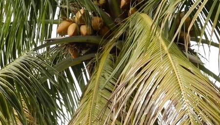 Poolside Princess: Boobs and bush to spare