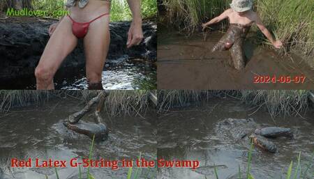 Red Latex G-String in the Swamp, 2024-06-07