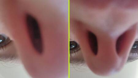 Flaring Nostrils Up Close