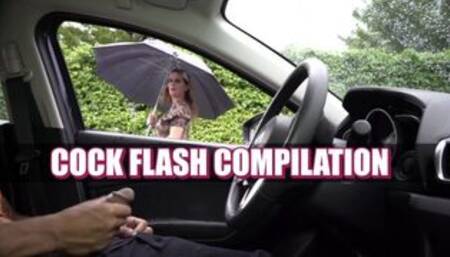 NICHE PARADE - Cock Flash Compilation