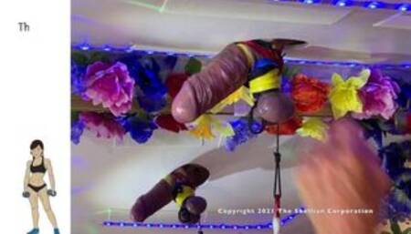 CBT for Ecstasy compilation with Femdom masturbation and toys