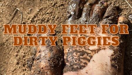 Muddy Feet For Dirty Piggies