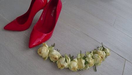 I crushed a lot of roses with red shoes a
