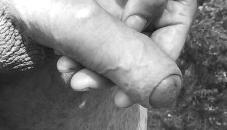 Forest PEE Grayscale