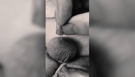 Needles in ball