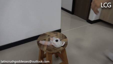 Plush Toy Crushed By Jana And Liz