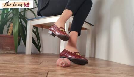 Crocodile moccasins shoejob, cock crush trample