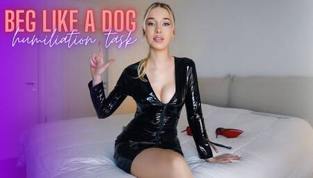 Beg Like A Dog Task