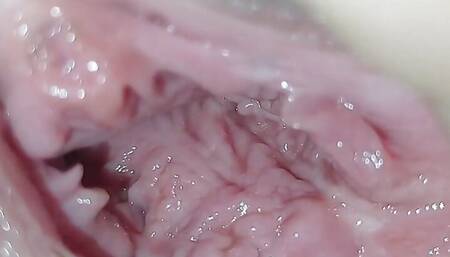 18 Year Old Vagin Pink Arab Vagina Real