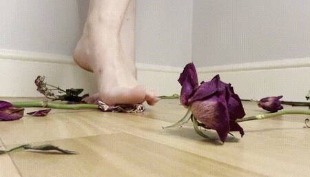 Crushing & Stomping Flowers