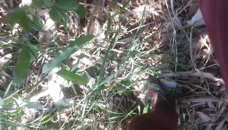 Bachelor erect cock enters tree Hindi sex