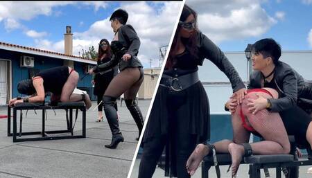 Leather-clad Mistress Alexandra and Mistress Julieta cane her disobedient slave
