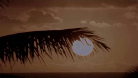 MILF Cayenne Klein gets fucked by the black guy outdoor