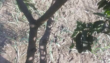 Best sex video with xhamster 720p hd video hindi sex