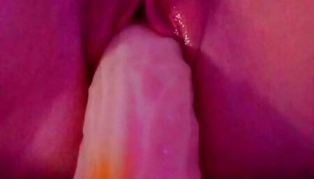 Dildo Masturbation PL