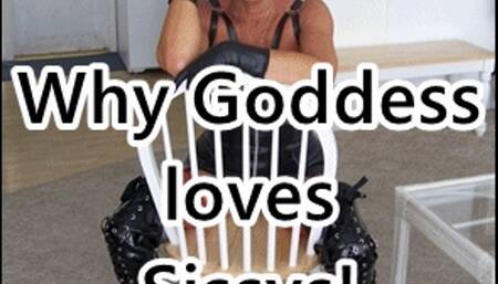 Goddess loves Sissys (MP3)