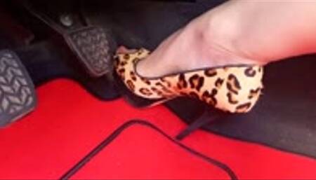 bringing my car back to life