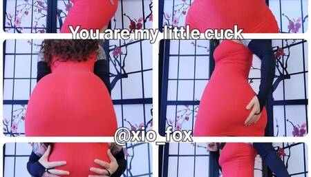 You are my little cuck