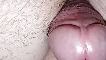 A beautiful excites