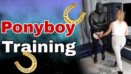 Training Zero Femdom Pony Boy BDSM Training! Bondage Slave Real Homemade Orgasm Cum Milf Stepmom Female Domination