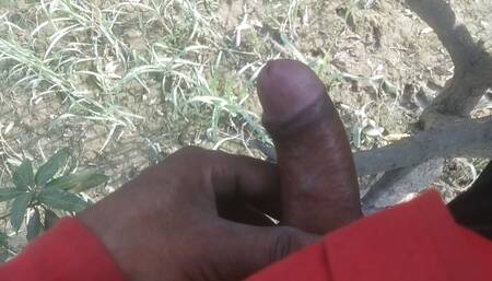 Sex in jungal willed porn hindi sex video full hd