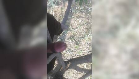 Tree Tops Masturbation Hindi Sex Video Full HD