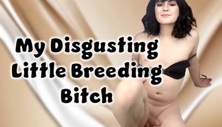 My Disgusting Little Breeding Bitch