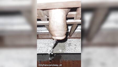 Dick flashing and pissing compilation