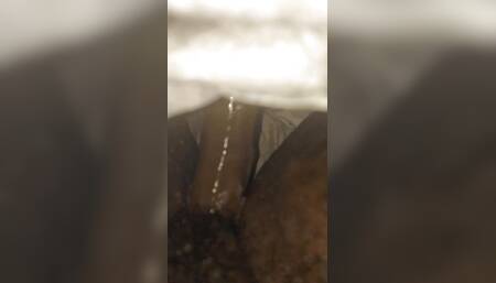 Hairy Wet Pussy