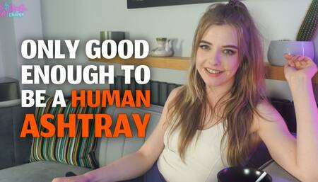Only Good Enough to Be a Human Ashtray - Gabie